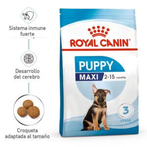 Royal Canin Perro Maxi Puppy - Cachorro