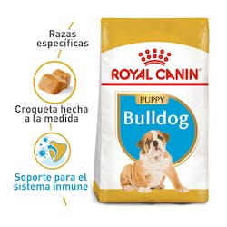 ROYAL CANIN PERRO BULLDOG PUPPY 3 KG