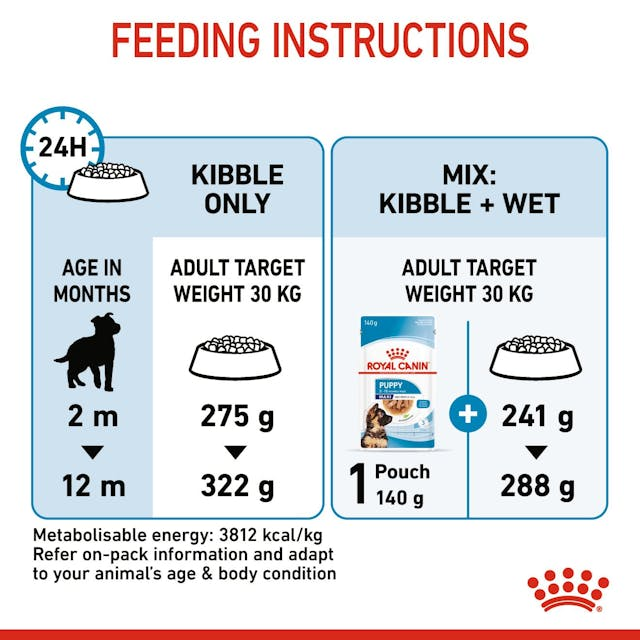 Royal Canin Perro Maxi Puppy - Cachorro - Imagen 2
