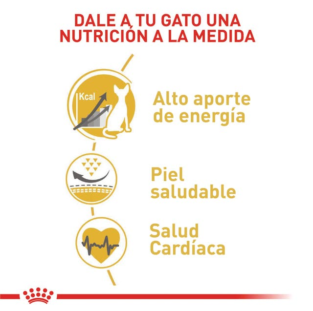 ROYAL CANIN Gato FBN Sphynx 2 kg - Imagen 2