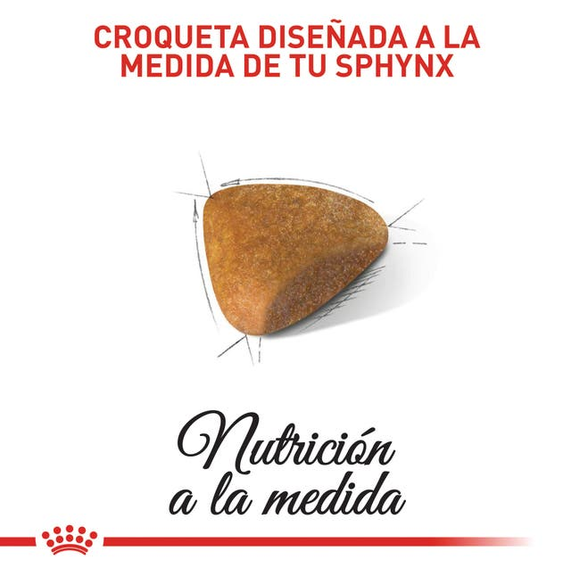 ROYAL CANIN Gato FBN Sphynx 2 kg - Imagen 6