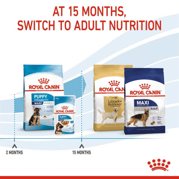 Royal Canin Perro Maxi Puppy - Cachorro - Imagen 4