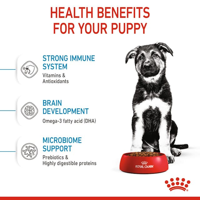 Royal Canin Perro Maxi Puppy - Cachorro - Imagen 5