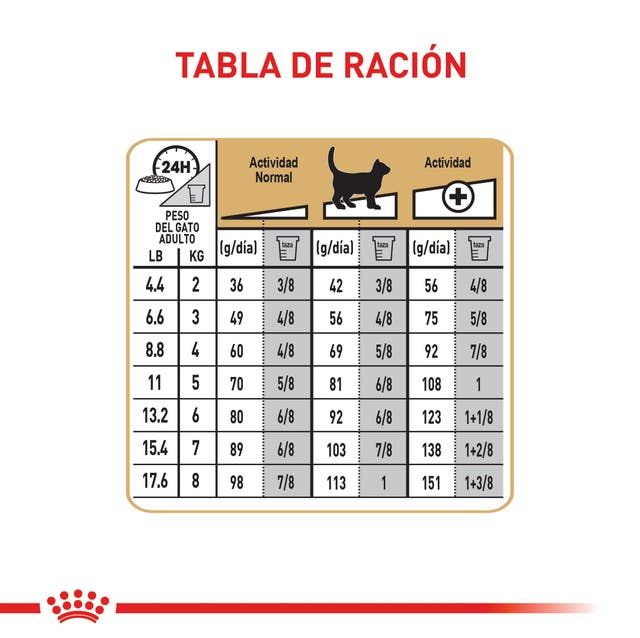 ROYAL CANIN Gato FBN Sphynx 2 kg - Imagen 4