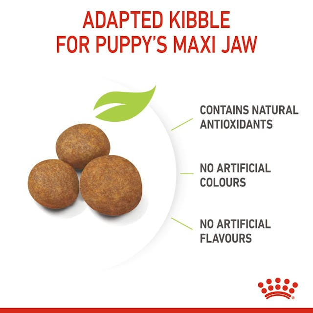 Royal Canin Perro Maxi Puppy - Cachorro - Imagen 7