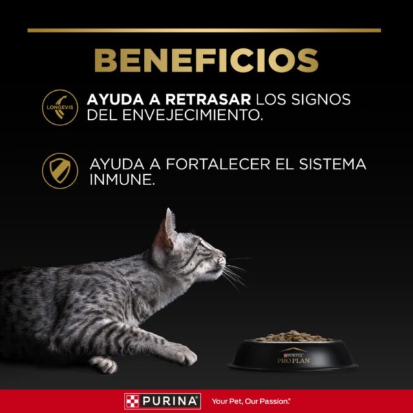 Gato Adulto 7+ | Para gatos de 7 o más años 3 kg - Imagen 4