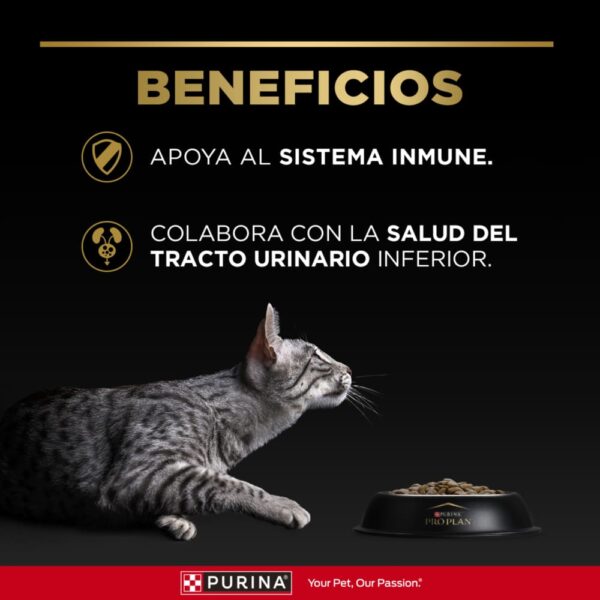 PRO PLAN Gato Adulto OptiPrebio® - Imagen 4