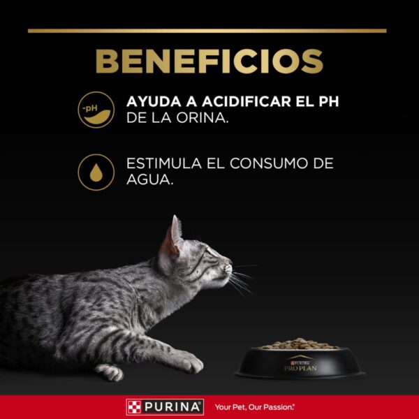 Pro Plan Veterinary Diets Gato UR Urinario St/Ox Feline - Imagen 6