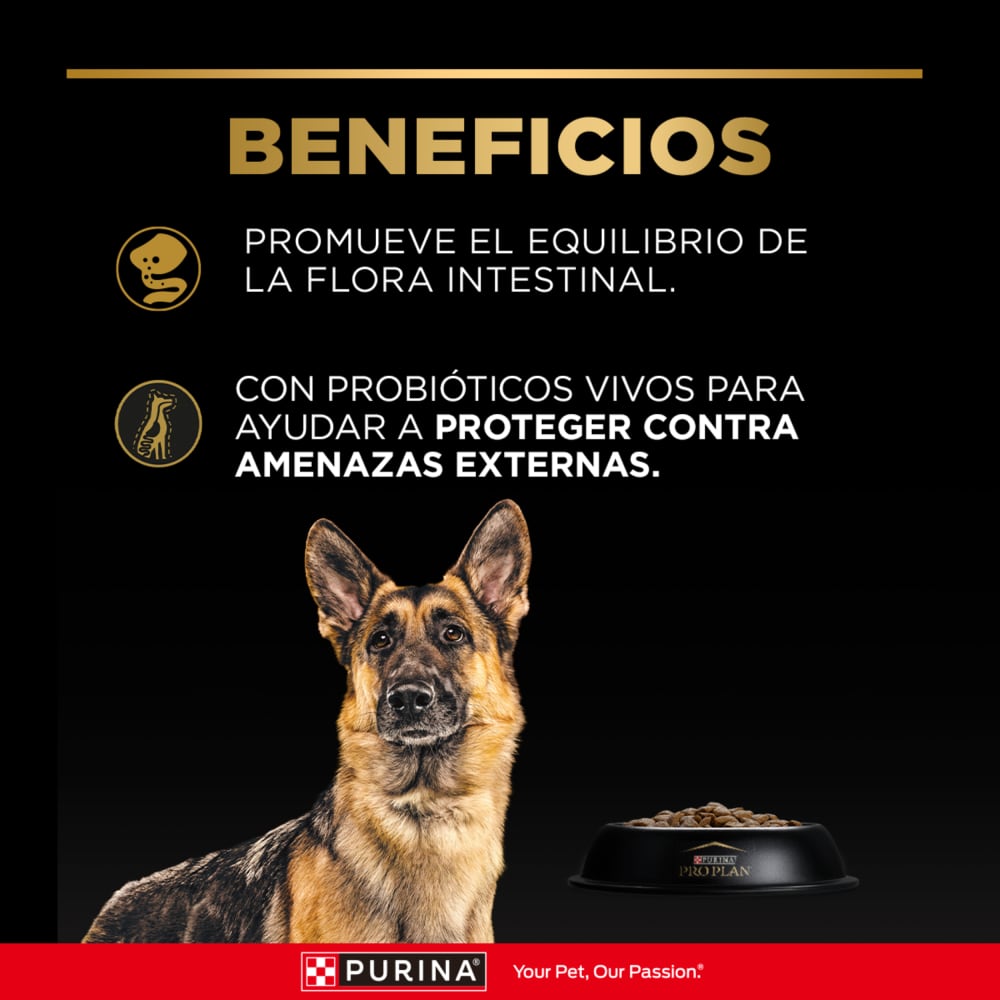 Pro Plan Perro Sensitive Skin & Stomach – Pavo y Probióticos - Imagen 10