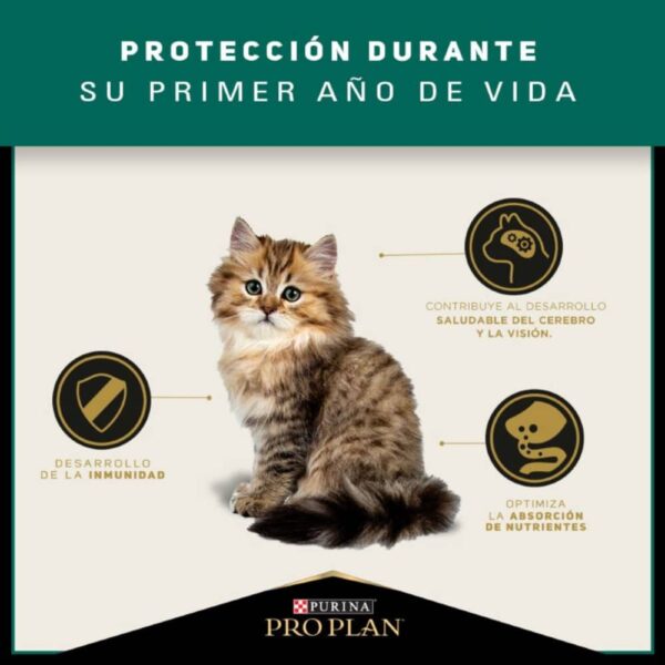PRO PLAN Gatitos Optistart® (Kitten) - Imagen 4