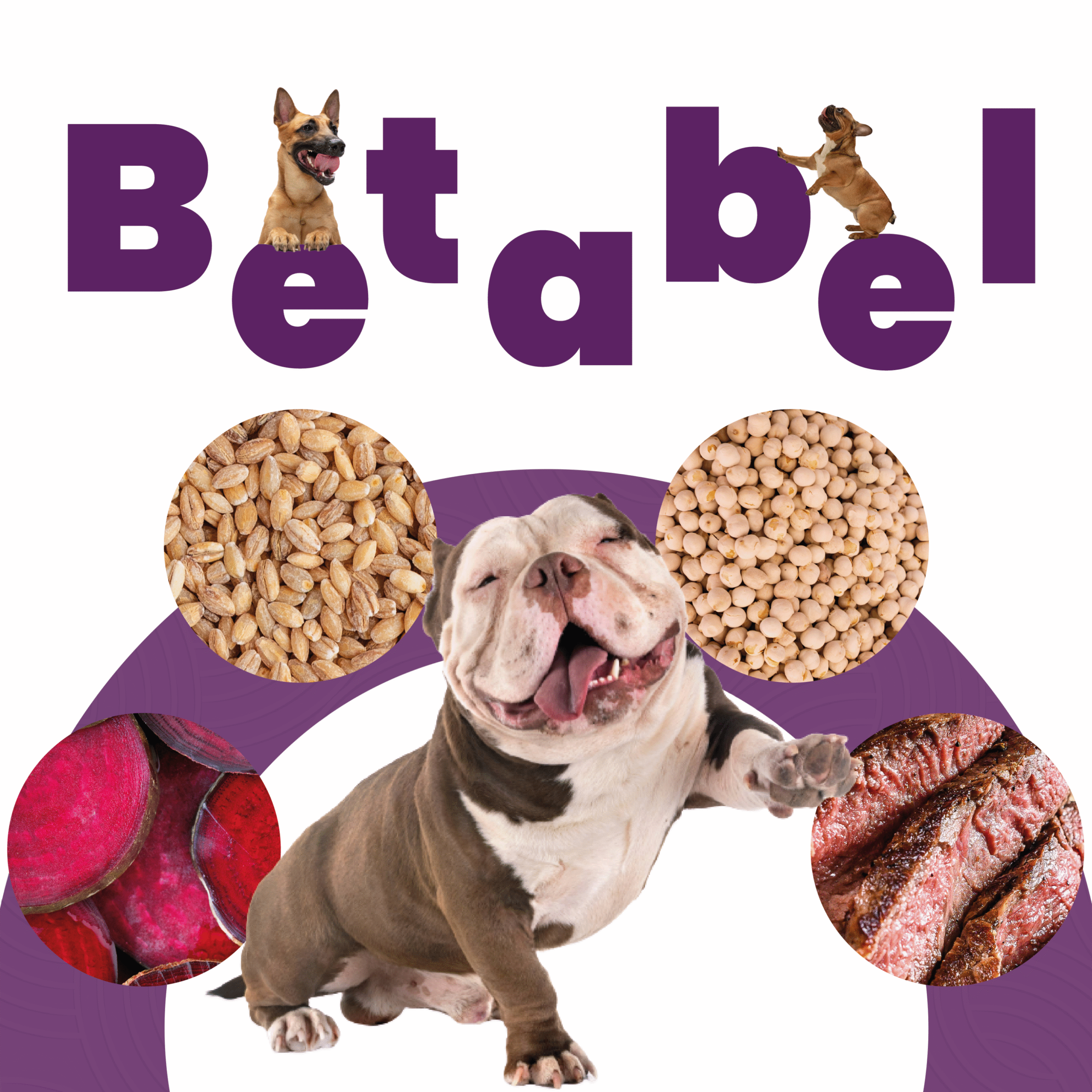 Petmeal – Dieta Cocida Natural Perro Betabel Res con Remolacha, Garbanzo y Cebada (500 g) - Imagen 7