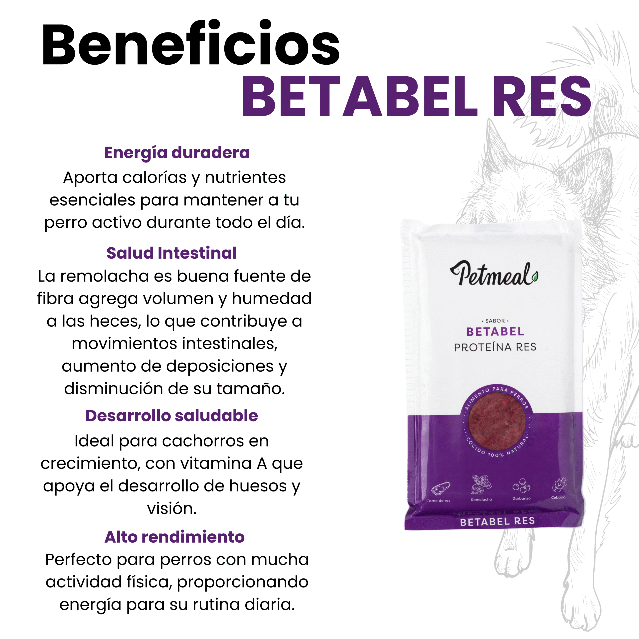 Petmeal – Dieta Cocida Natural Perro Betabel Res con Remolacha, Garbanzo y Cebada (500 g) - Imagen 4