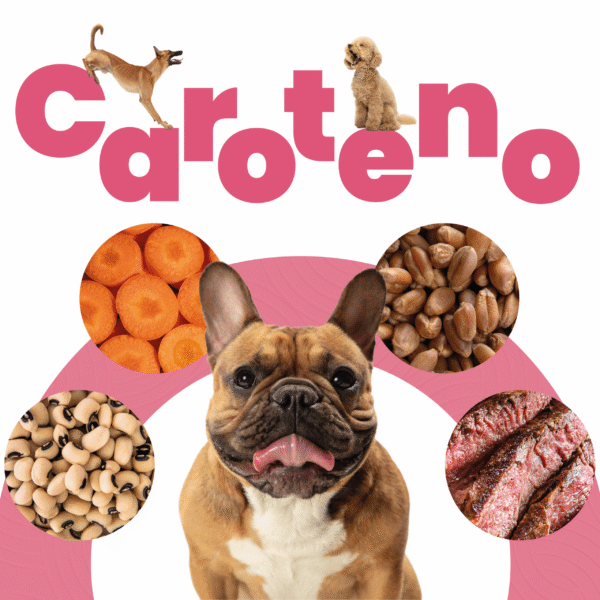 Petmeal – Dieta Cocida Natural de Res con Zanahoria, Caroteno y Fibra (500 g) - Imagen 2