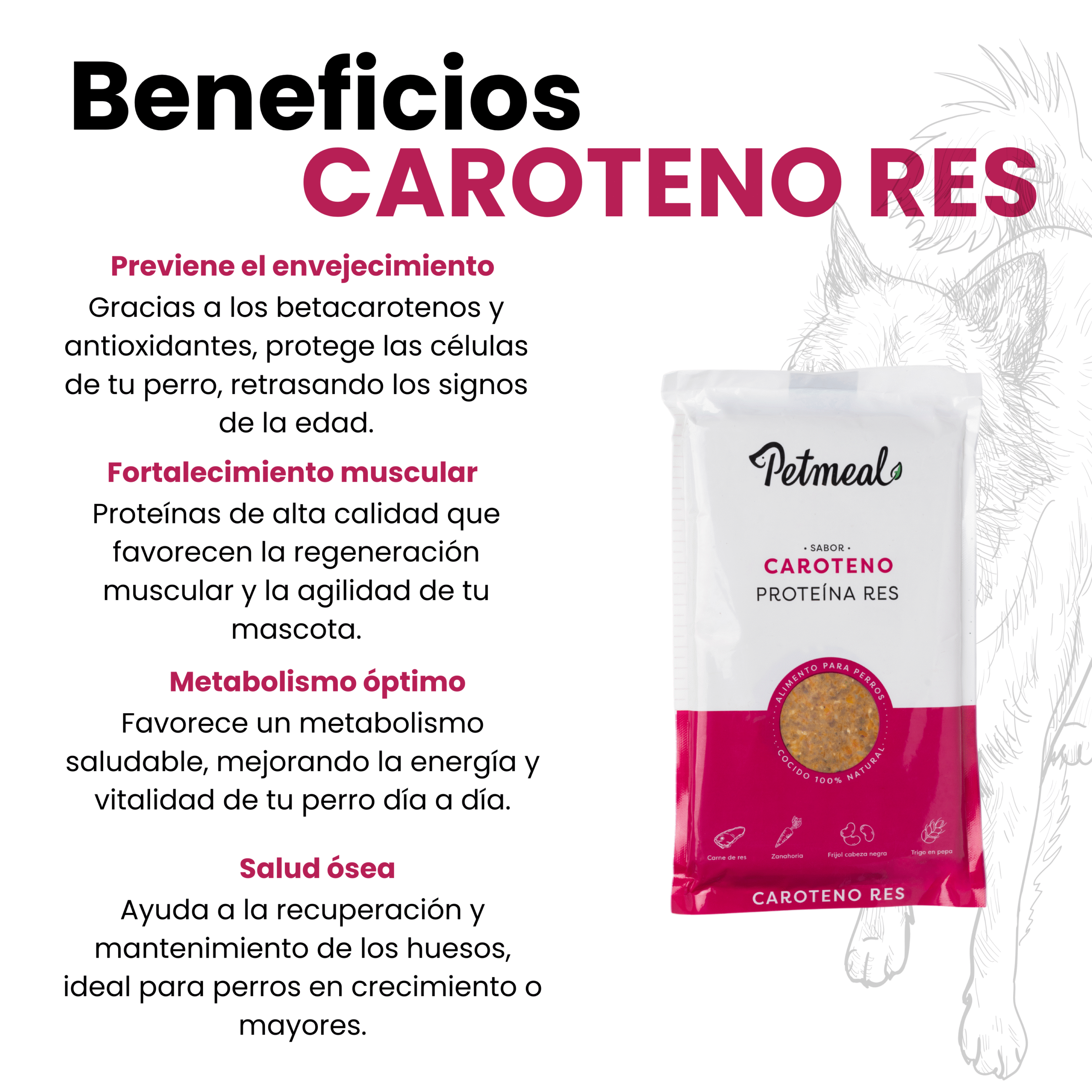 Petmeal – Dieta Cocida Natural de Res con Zanahoria, Caroteno y Fibra (500 g) - Imagen 3