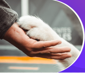 CONSULTA DE VALORACIÓN DE COMPORTAMIENTO CANINO