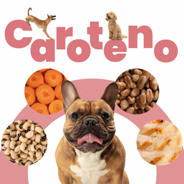 Petmeal Dieta Cocida Natural Perros – Caroteno Pollo (500 g) - Imagen 3