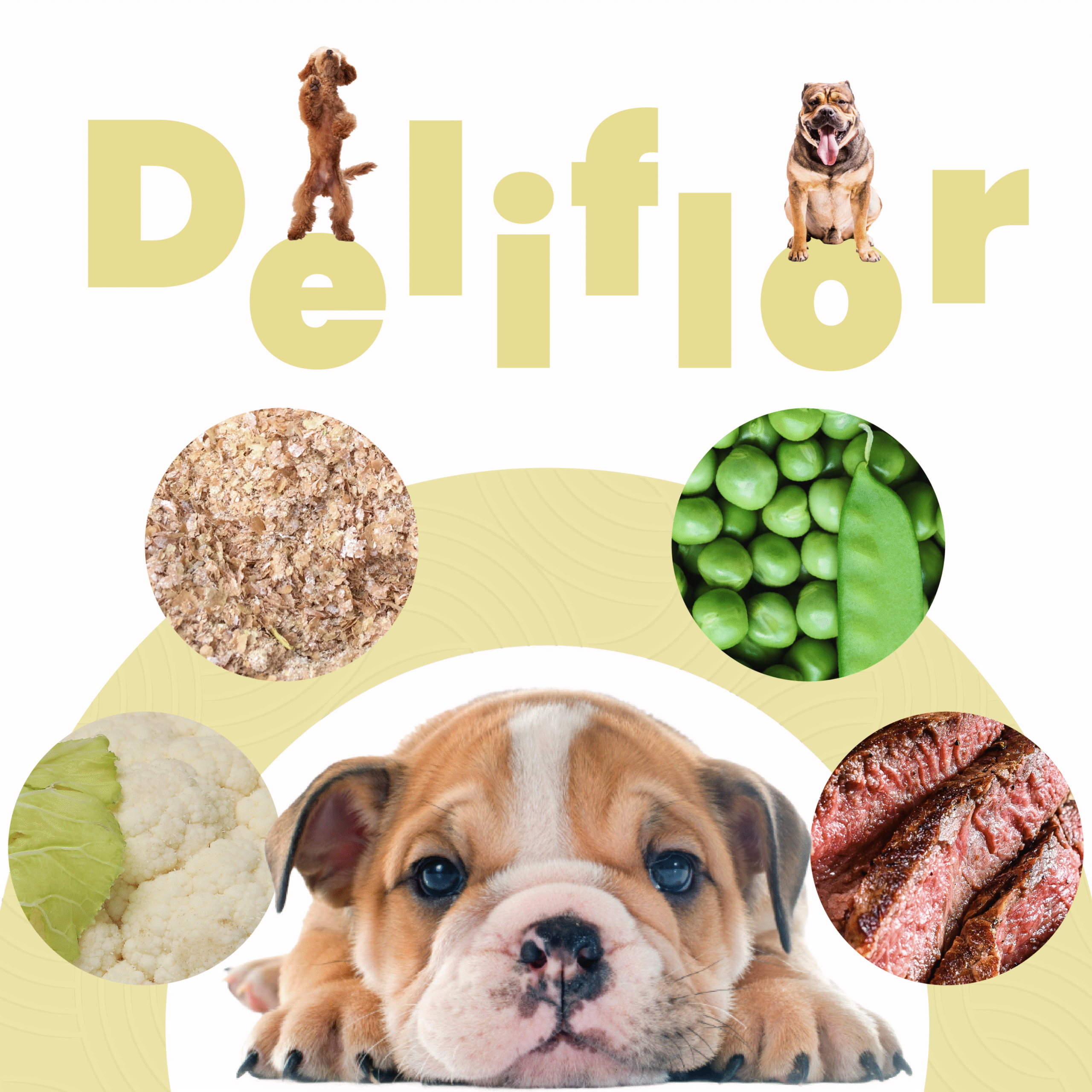 Petmeal – Dieta Cocida Natural Perro Deliflor Res con Coliflor, Arvejas y Salvado (500 g) - Imagen 5