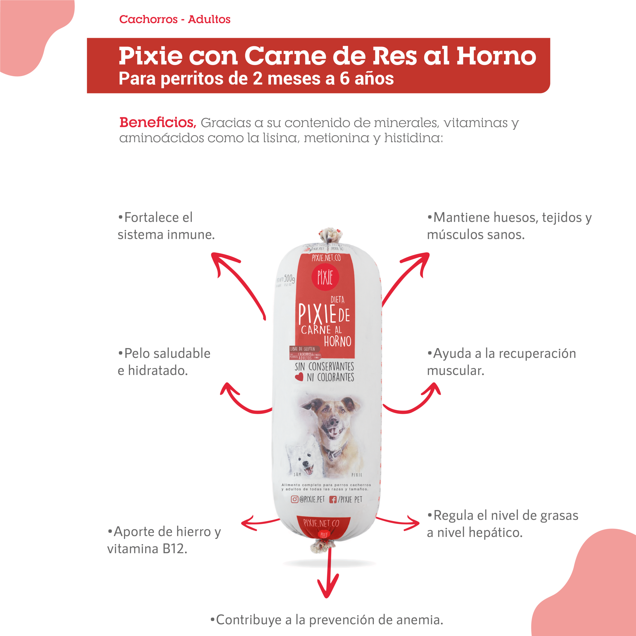 DIETA PERRO PIXIE CARNE DE RES TRADICIONAL 500GR (ROJA) - Imagen 2