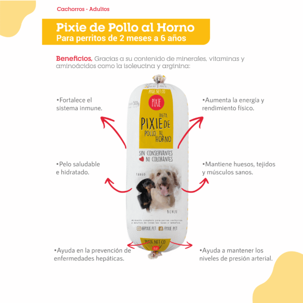 DIETA PERRO PIXIE DE POLLO TRADICIONAL 500 GR (AMARILLO) - Imagen 2