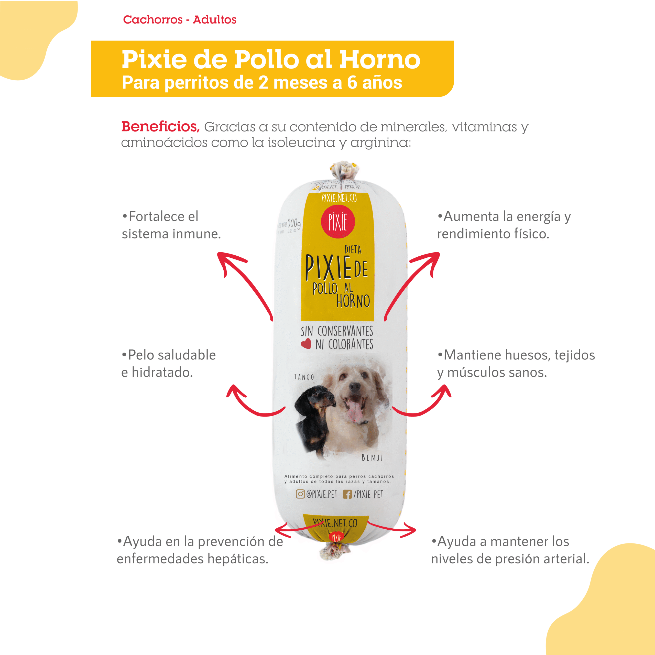 DIETA PERRO PIXIE DE POLLO TRADICIONAL 500 GR (AMARILLO) - Imagen 2