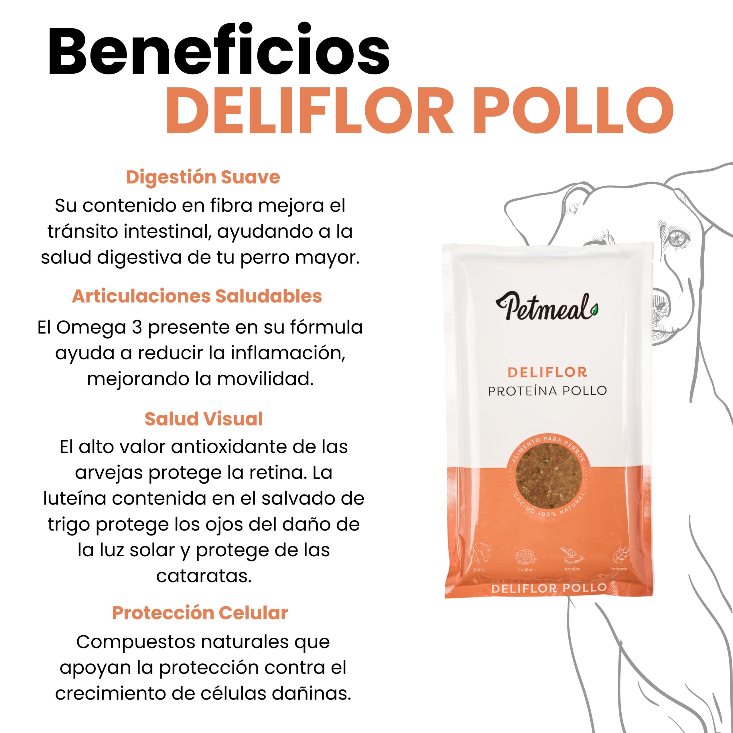 Petmeal Dieta Cocida Natural Perros – Deliflor Pollo (500 g) - Imagen 5