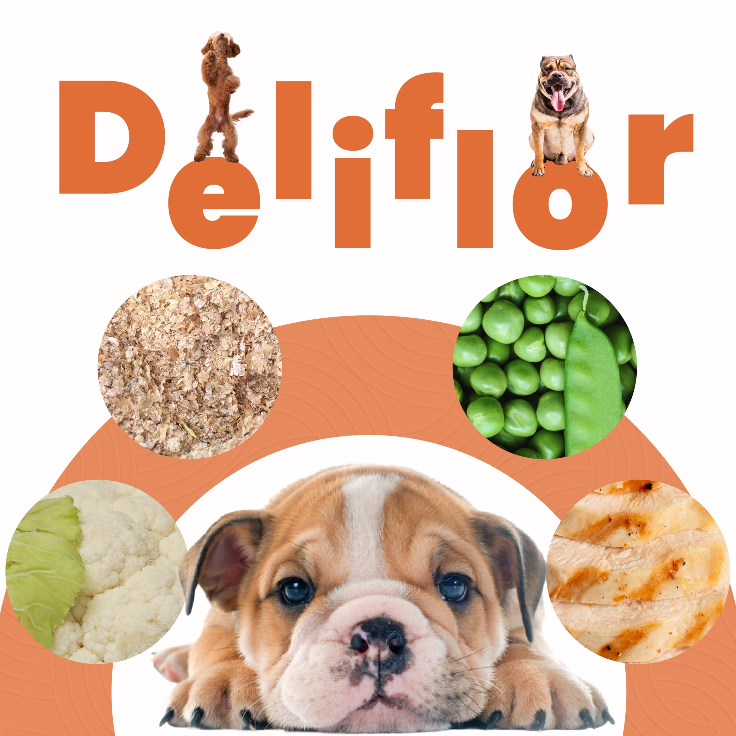 Petmeal Dieta Cocida Natural Perros – Deliflor Pollo (500 g) - Imagen 3
