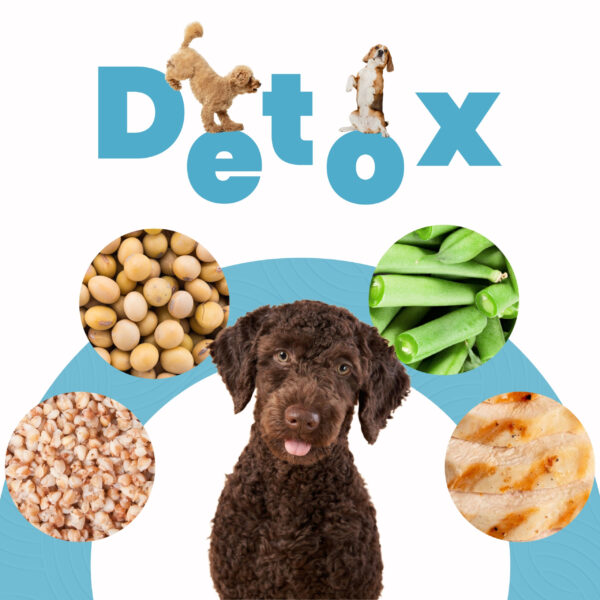 Petmeal Dieta Cocida Natural Perros – Detox Pollo (500 g) - Imagen 3