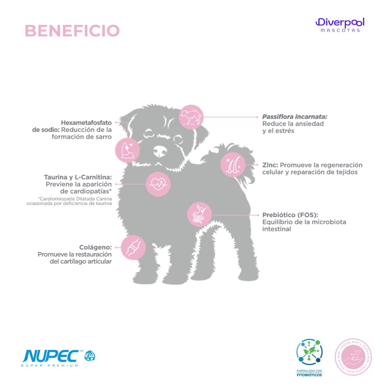 NUPEC Adulto Raza Mini (1 kg) – Nutrición Científica para Perros Pequeños - Imagen 2