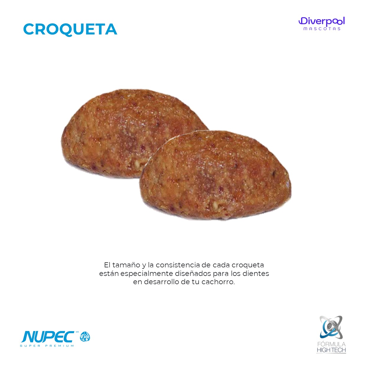 NUPEC Cachorro 2 kg Nutrición Premium para el Crecimiento Saludable - Imagen 2