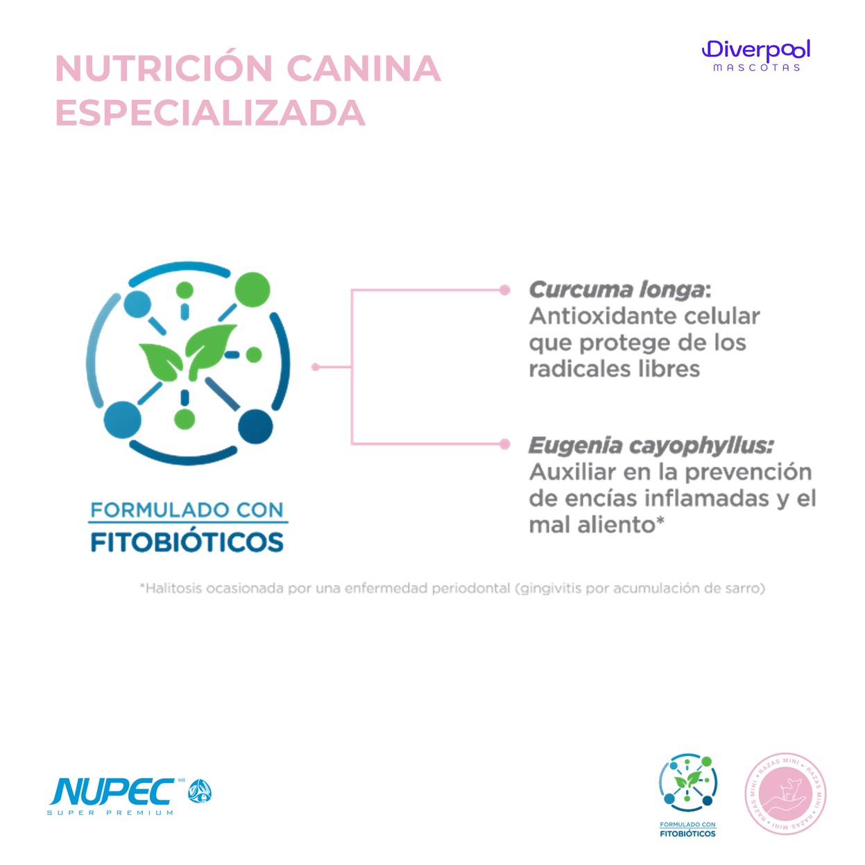 NUPEC Adulto Raza Mini (1 kg) – Nutrición Científica para Perros Pequeños - Imagen 3