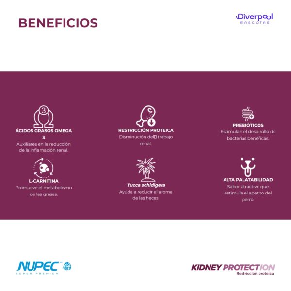 NUPEC Perro Renal Care 2 kg Nutrición Especializada para el Apoyo Renal - Imagen 2