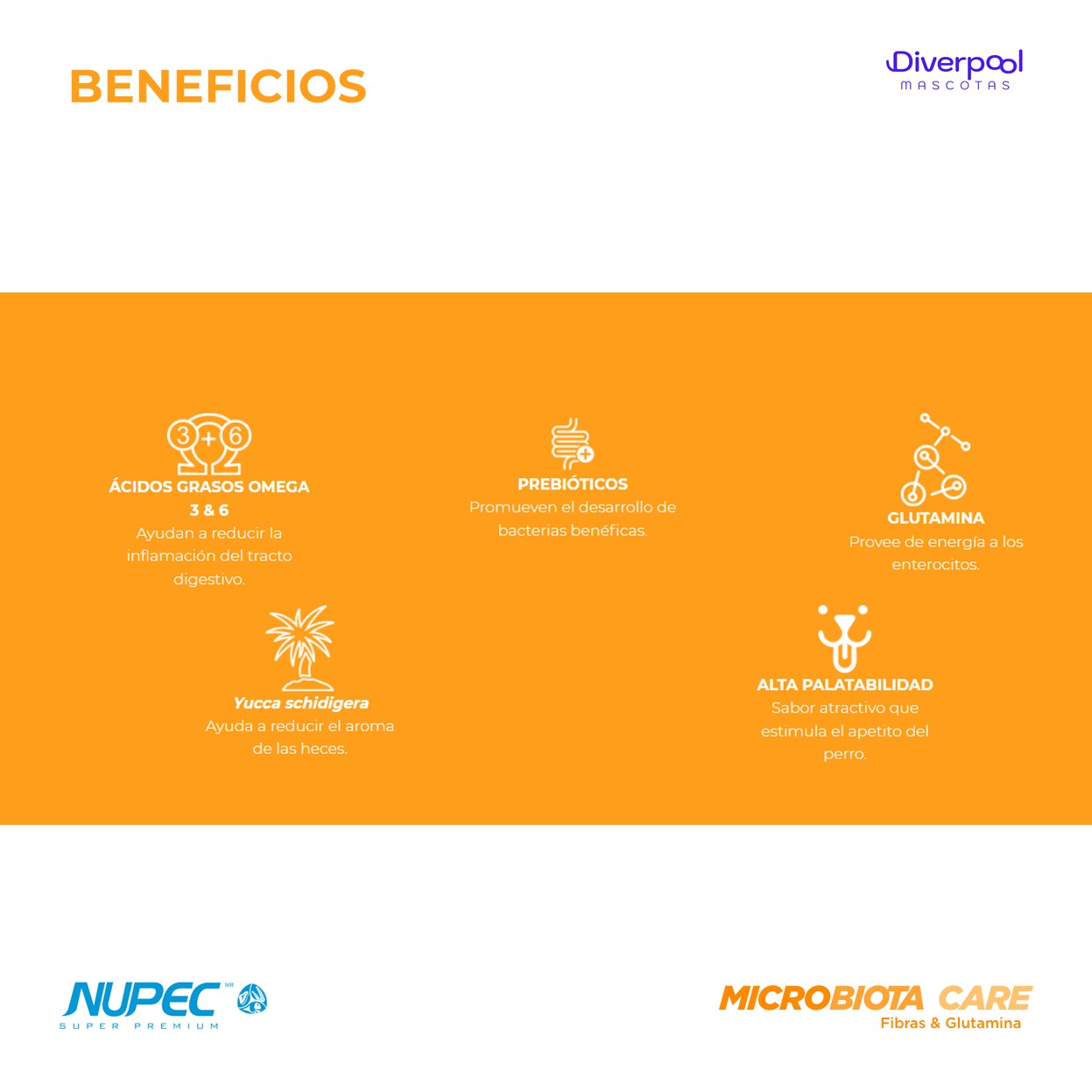 NUPEC Perro Digestive Health 2 kg Nutrición Especializada para la Salud Digestiva - Imagen 5
