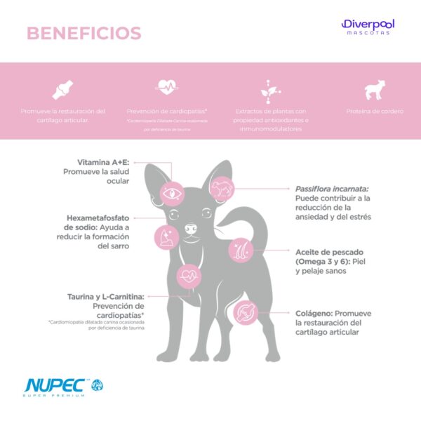 NUPEC Perro Senior Razas Mini 1 kg Nutrición Científica para Perros Mayores de Razas Pequeñas - Imagen 2