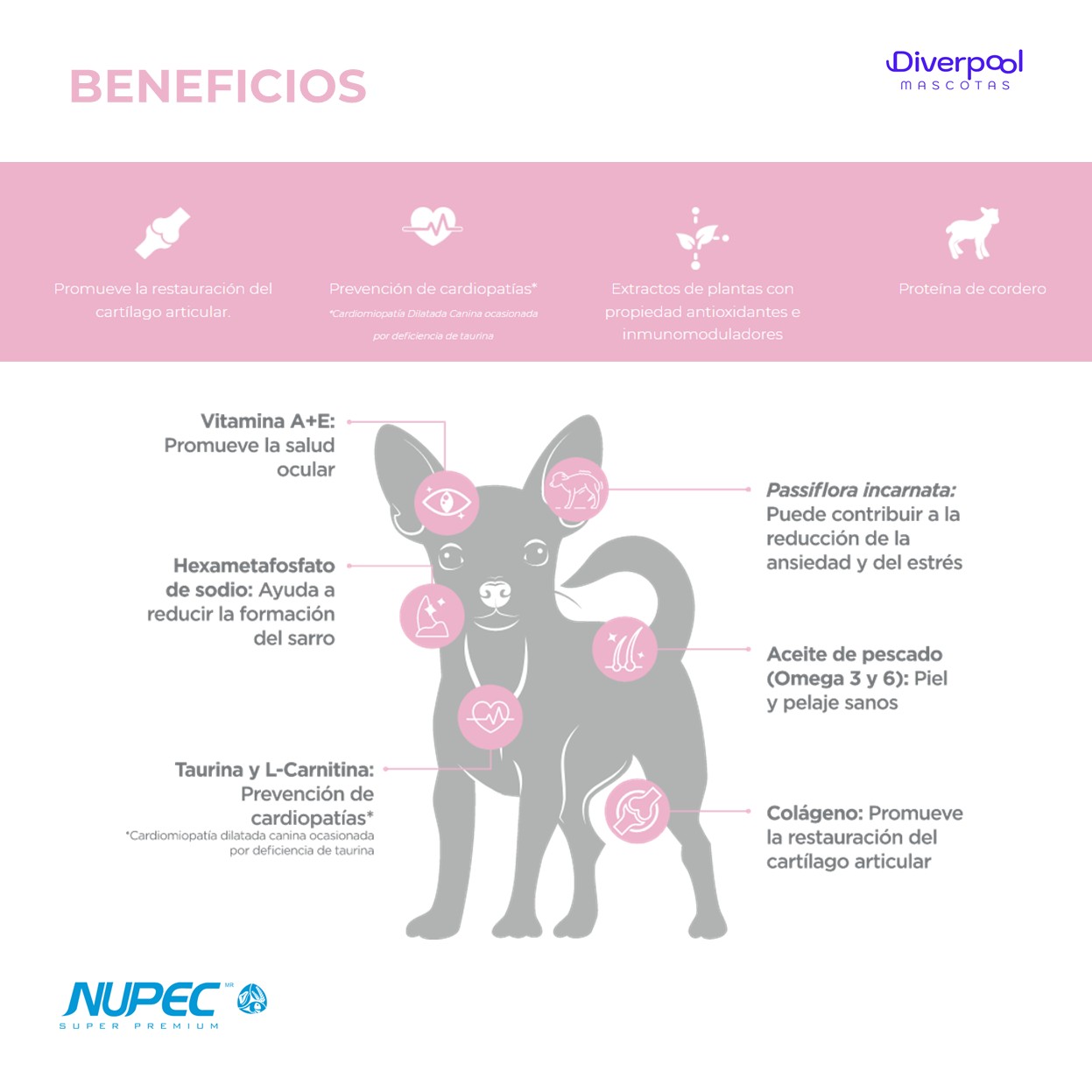 NUPEC Perro Senior Razas Mini 1 kg Nutrición Científica para Perros Mayores de Razas Pequeñas - Imagen 2
