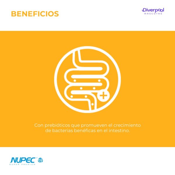 NUPEC Digestive Care 180 g  Premios Funcionales para Perros - Imagen 5