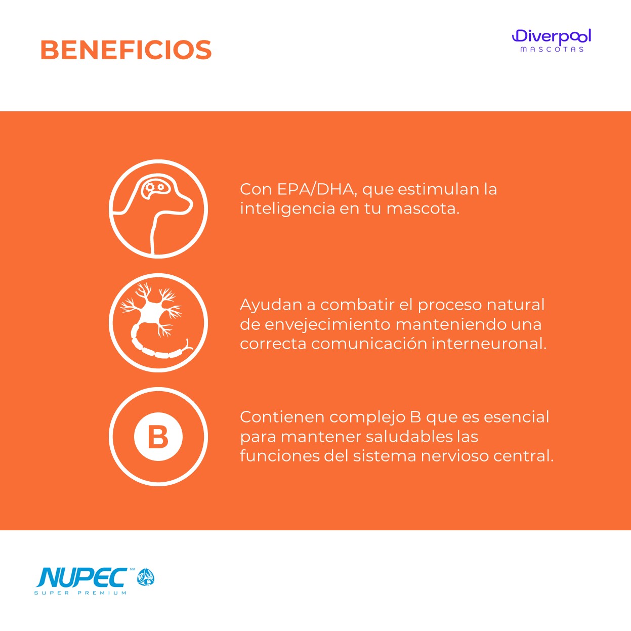NUPEC Treats Smart 180 g Premios Funcionales para la Estimulación Cognitiva de Perros - Imagen 3