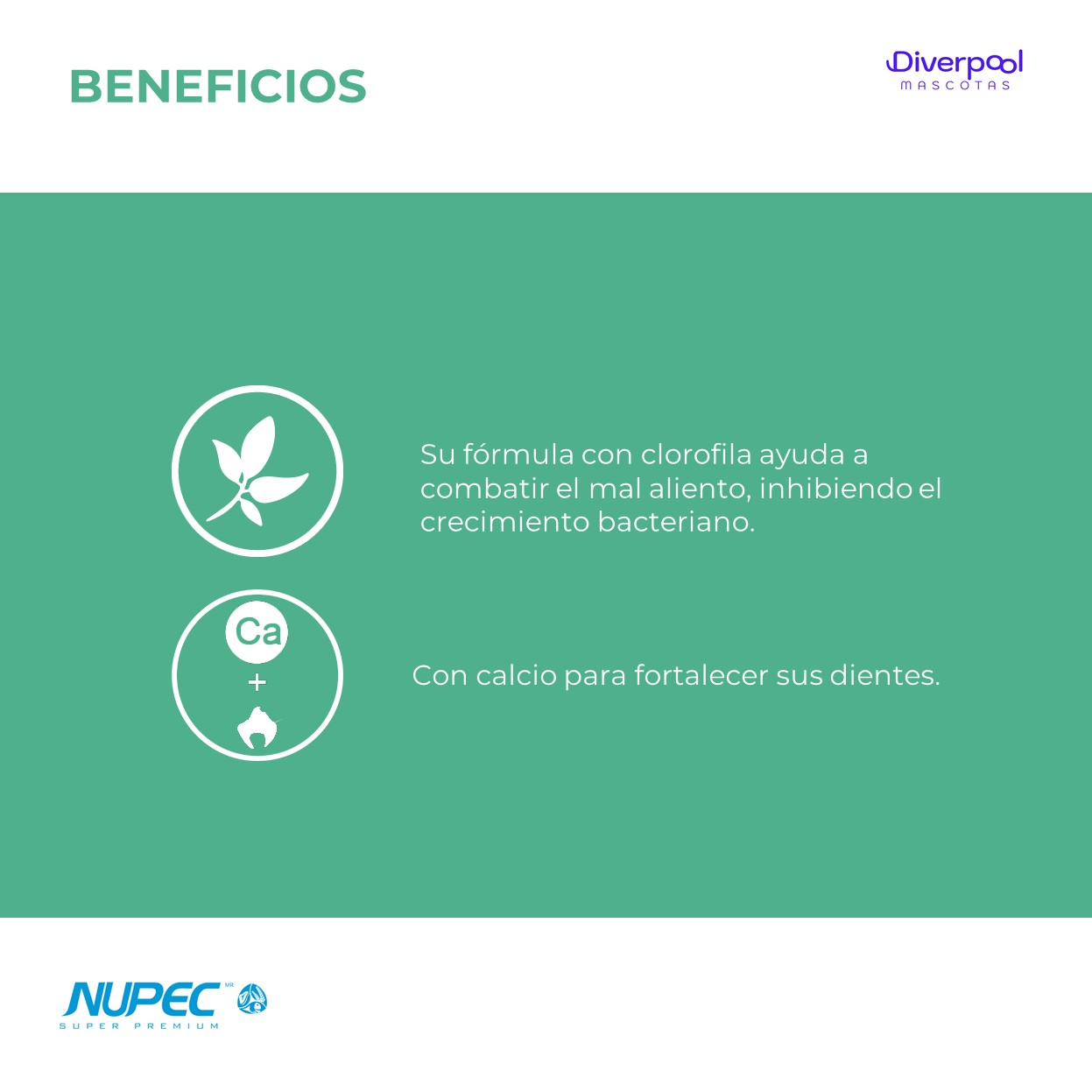 NUPEC Dental Care Treats 180 g Premios Funcionales para el Cuidado Oral de Perros - Imagen 3
