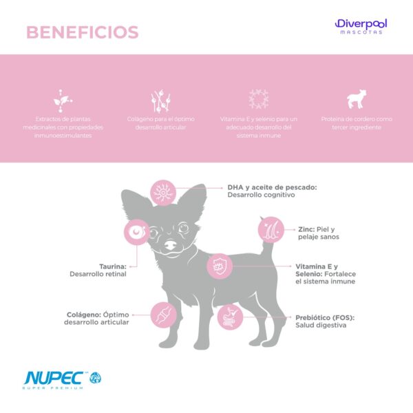 NUPEC Cachorro Raza Mini 1 kg – alimento premium - Imagen 3