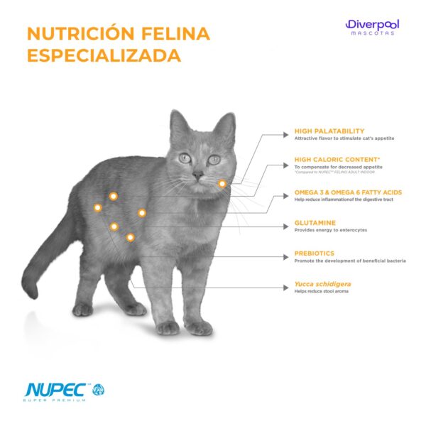 NUPEC Felino Digestive Health (2 kg) Nutrición Especializada - Imagen 2