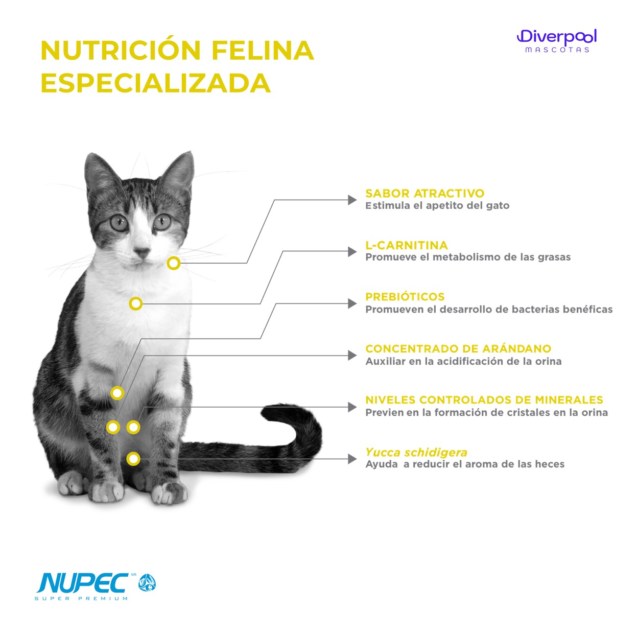 NUPEC Felino Urinary Management (2 kg) Nutrición Especializada - Imagen 2