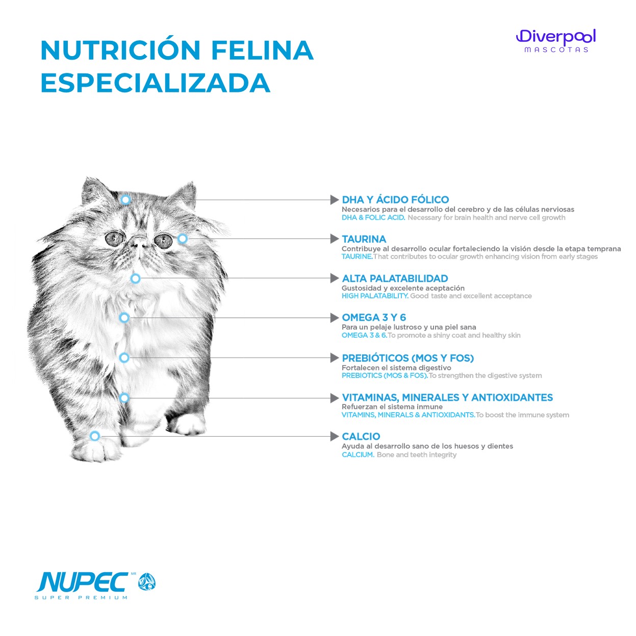 NUPEC Felino Kitten 1,5 kg Nutrición Científica para Gatitos - Imagen 2