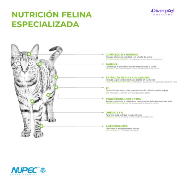 NUPEC Felino Adulto Indoor 1,5 kg Nutrición Científica para Gatos de Interior - Imagen 2