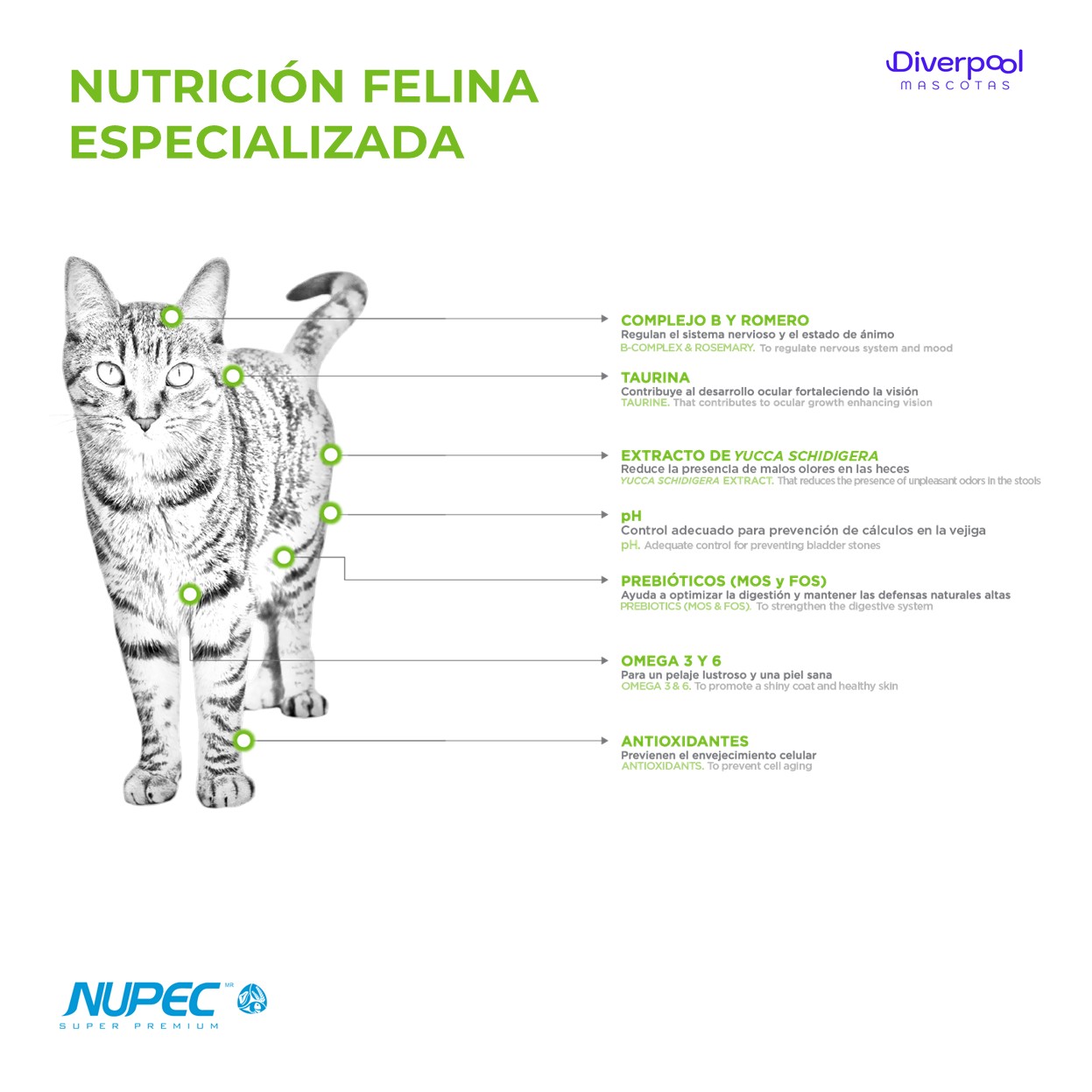 NUPEC Felino Adulto Indoor 1,5 kg Nutrición Científica para Gatos de Interior - Imagen 2