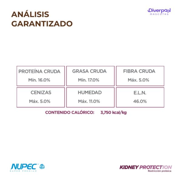 NUPEC Perro Renal Care 2 kg Nutrición Especializada para el Apoyo Renal - Imagen 4