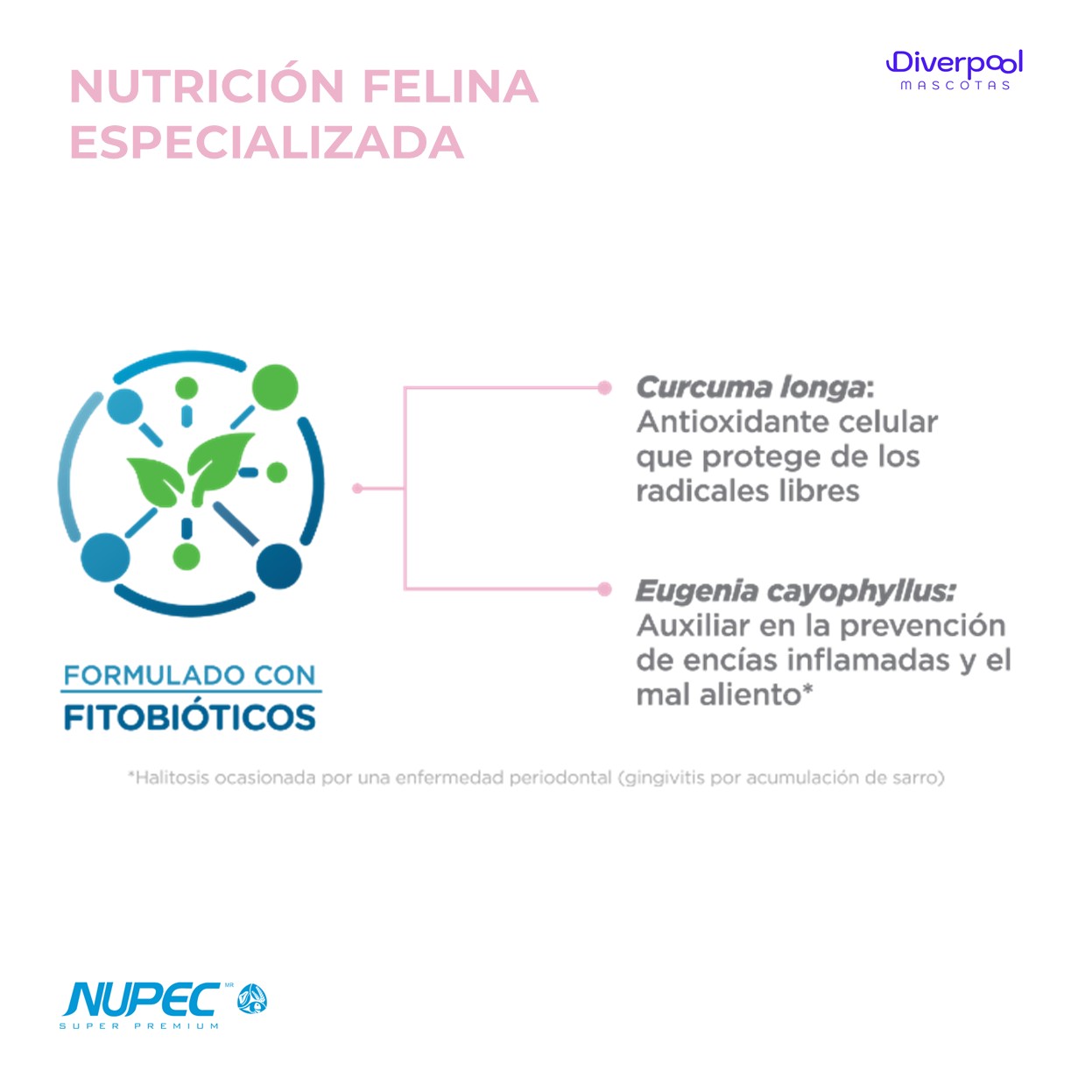 NUPEC Perro Senior Razas Mini 1 kg Nutrición Científica para Perros Mayores de Razas Pequeñas - Imagen 6