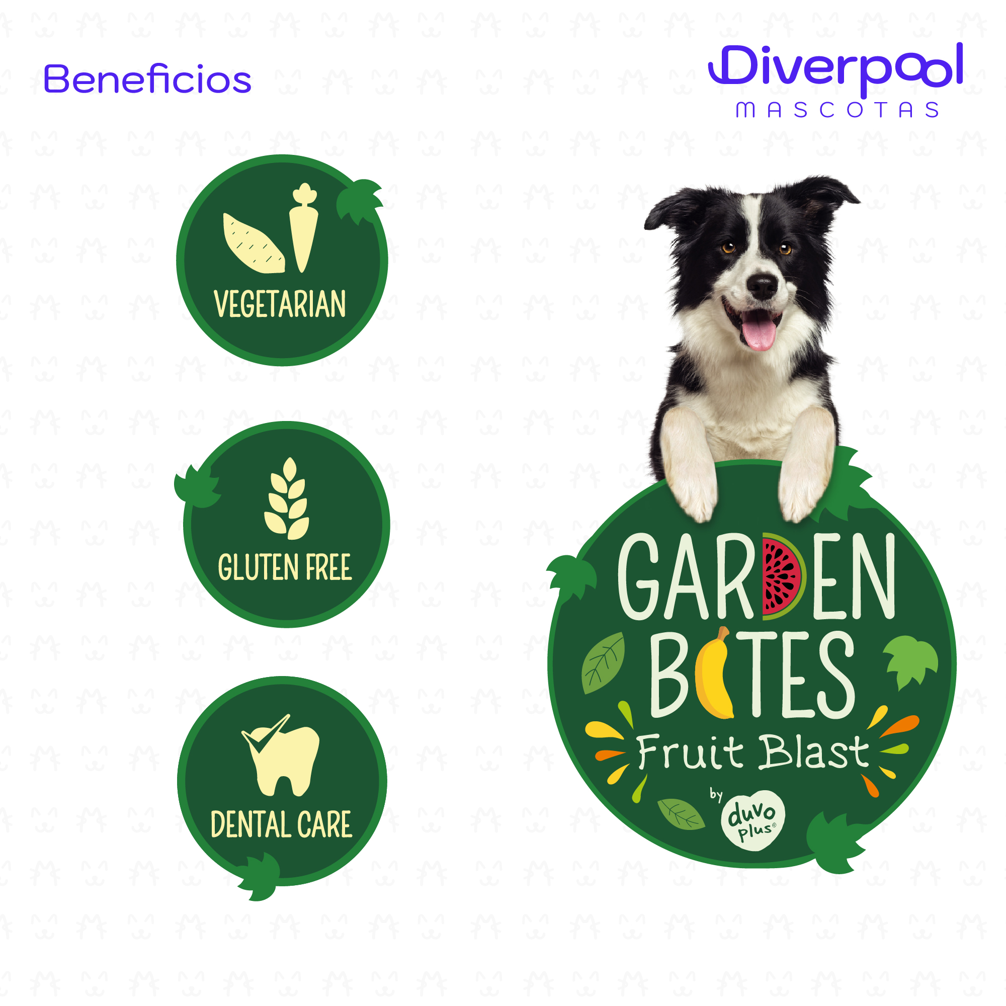 Garden Bites Veggie Friends – Snacks Naturales para Perros - Imagen 4