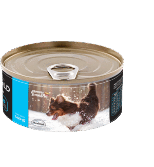 Agility Perro Enterico x140 Gr