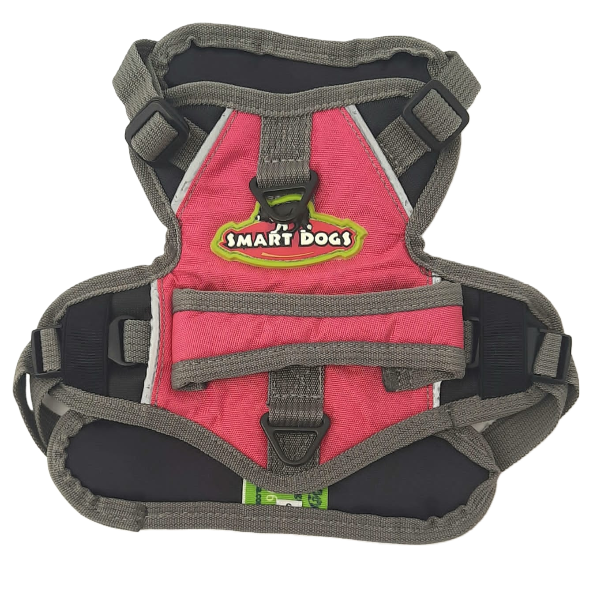 HARNES SMART DOGS TALLA S - Imagen 2