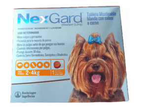 NEXGARD CHEWABLE 2-4 KGS X1 DOSIS