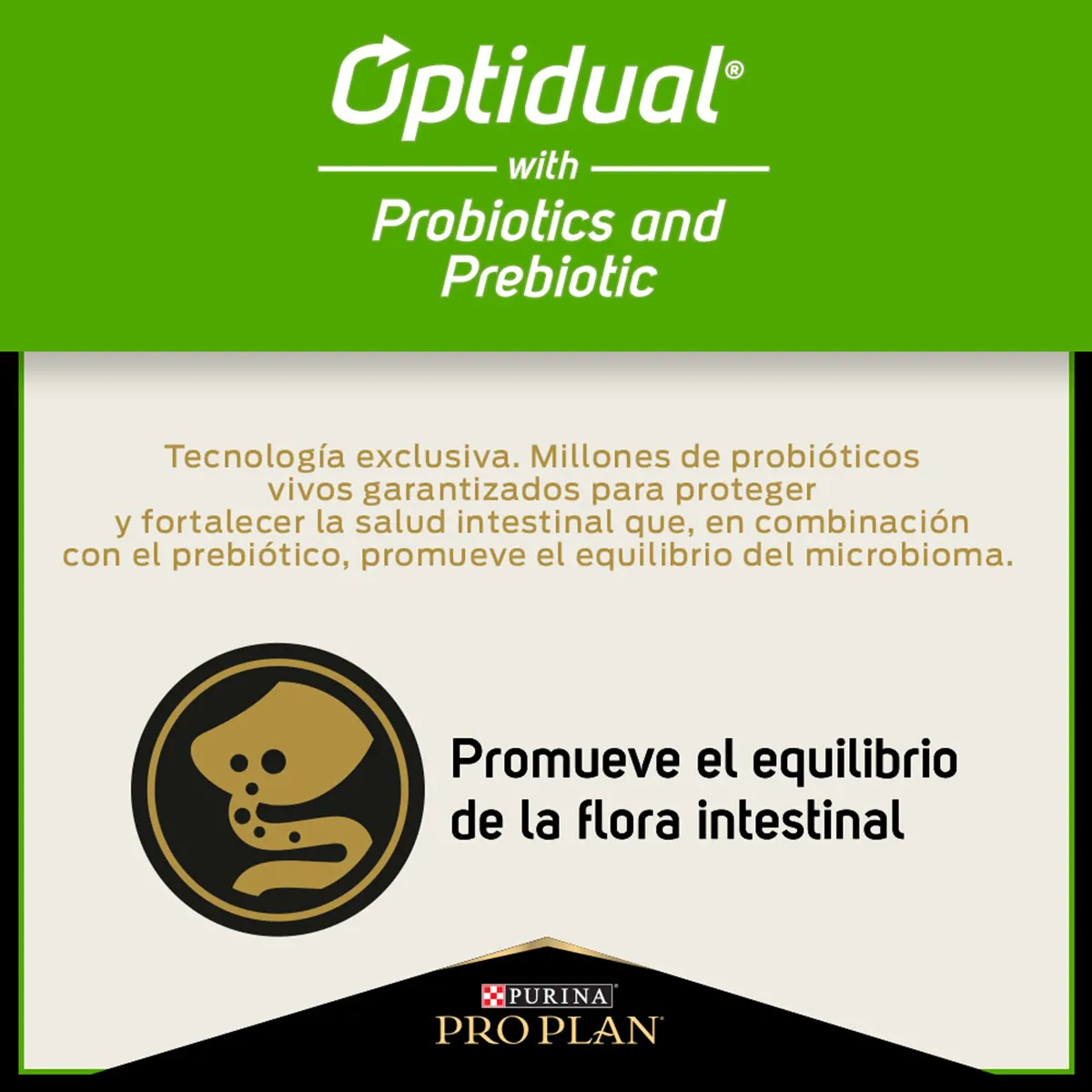 PRO PLAN Cat Sensitive Skin & Stomach – Pavo y Probióticos 3 kg - Imagen 12